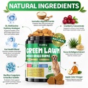 dog-urine-neutralizer-for-lawn-green-gra-4.jpg