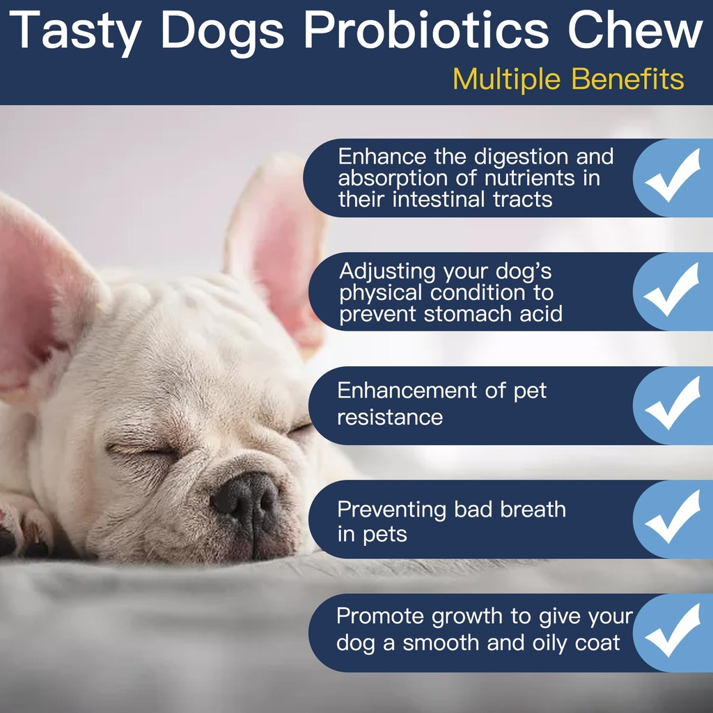 probiotics-for-dogs-dog-probiotics-for-y-2.jpg