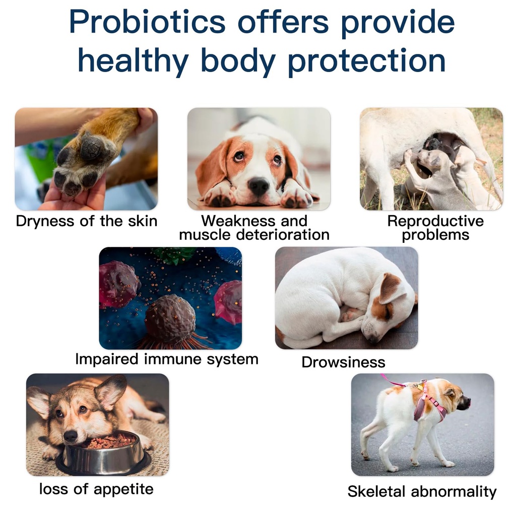 probiotics-for-dogs-dog-probiotics-for-y-5.jpg