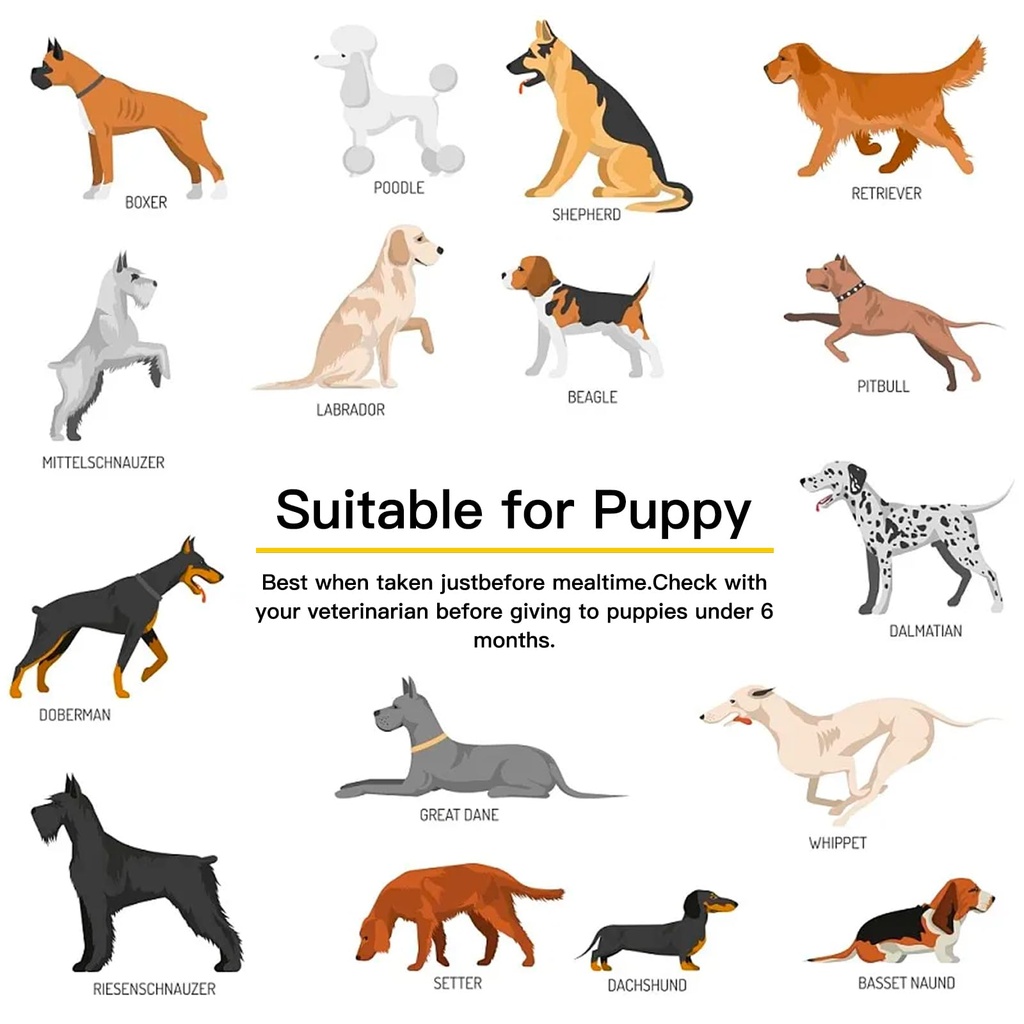 probiotics-for-dogs-dog-probiotics-for-y-6.jpg