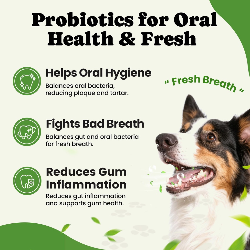 probiotics-for-dogs-digestive-gut-health-5.jpg