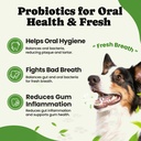 probiotics-for-dogs-digestive-gut-health-5.jpg