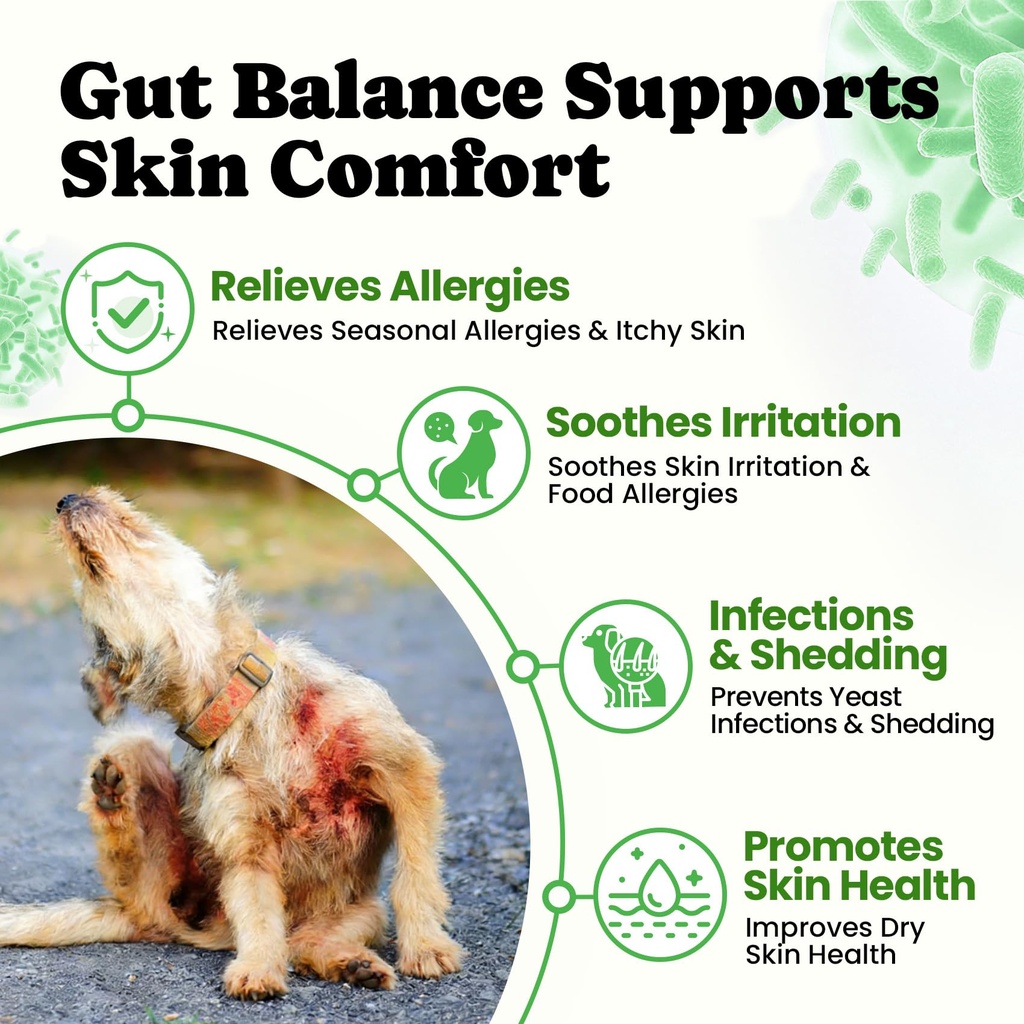 probiotics-for-dogs-digestive-gut-health-4.jpg