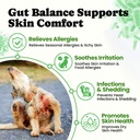 probiotics-for-dogs-digestive-gut-health-4.jpg