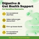 probiotics-for-dogs-digestive-gut-health-3.jpg
