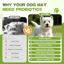 150-pcs-probiotics-for-dogs-dog-probioti-5.jpg