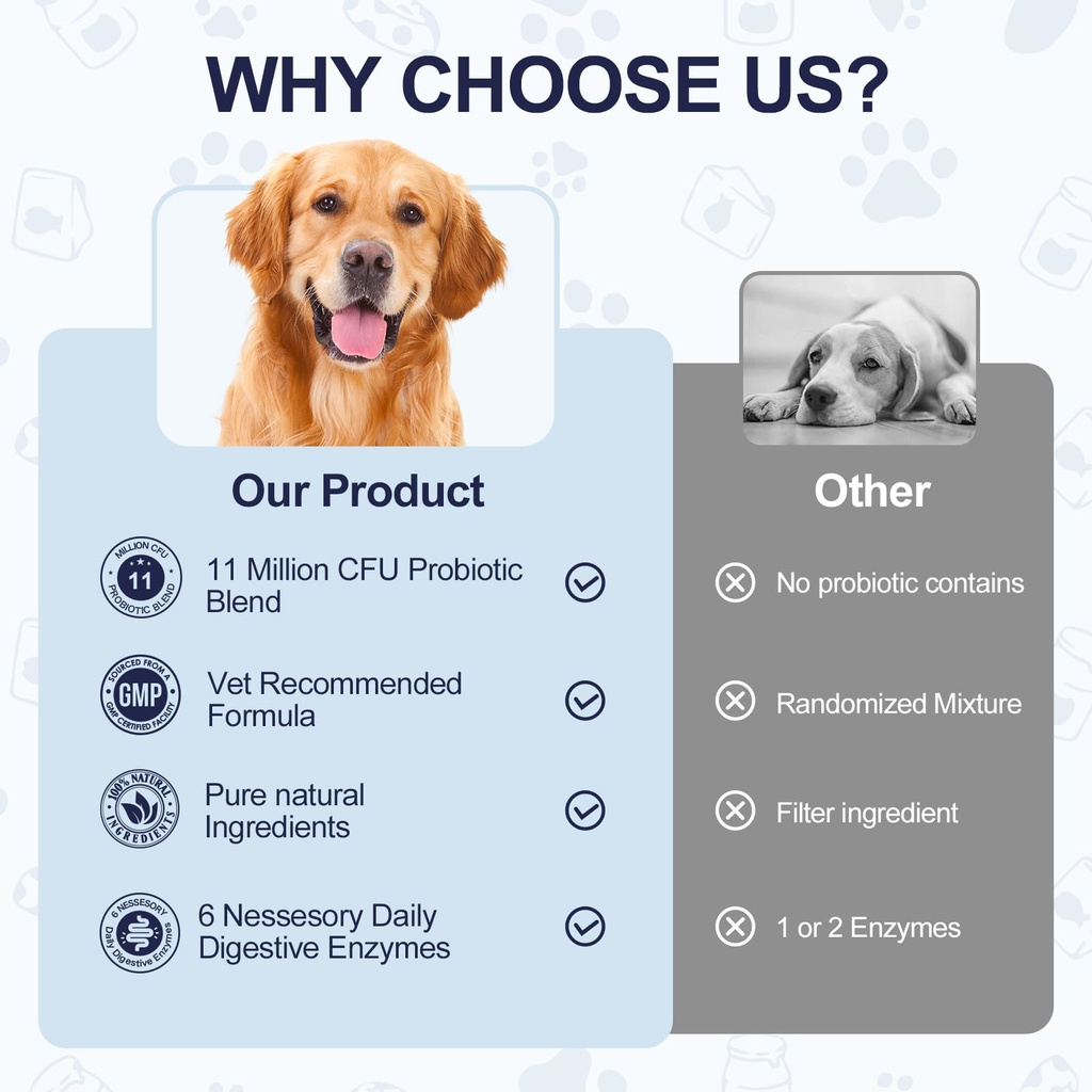 11-strain-probiotics-for-dogs-digestive--6.jpg