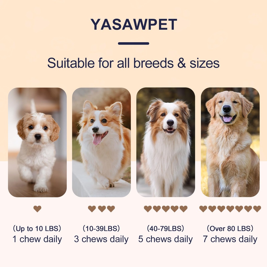 11-strain-probiotics-for-dogs-digestive--5.jpg