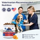 11-strain-probiotics-for-dogs-digestive--2.jpg