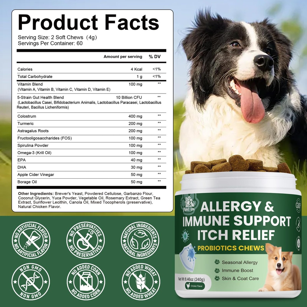 probiotics-for-dogs-improve-itchy-skin-i-5.jpg
