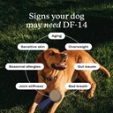 petlab-co-df-14-daily-foundation-supplem-3.jpg