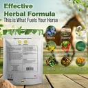 bright-eyes-horse-eye-health-supplements-3.jpg