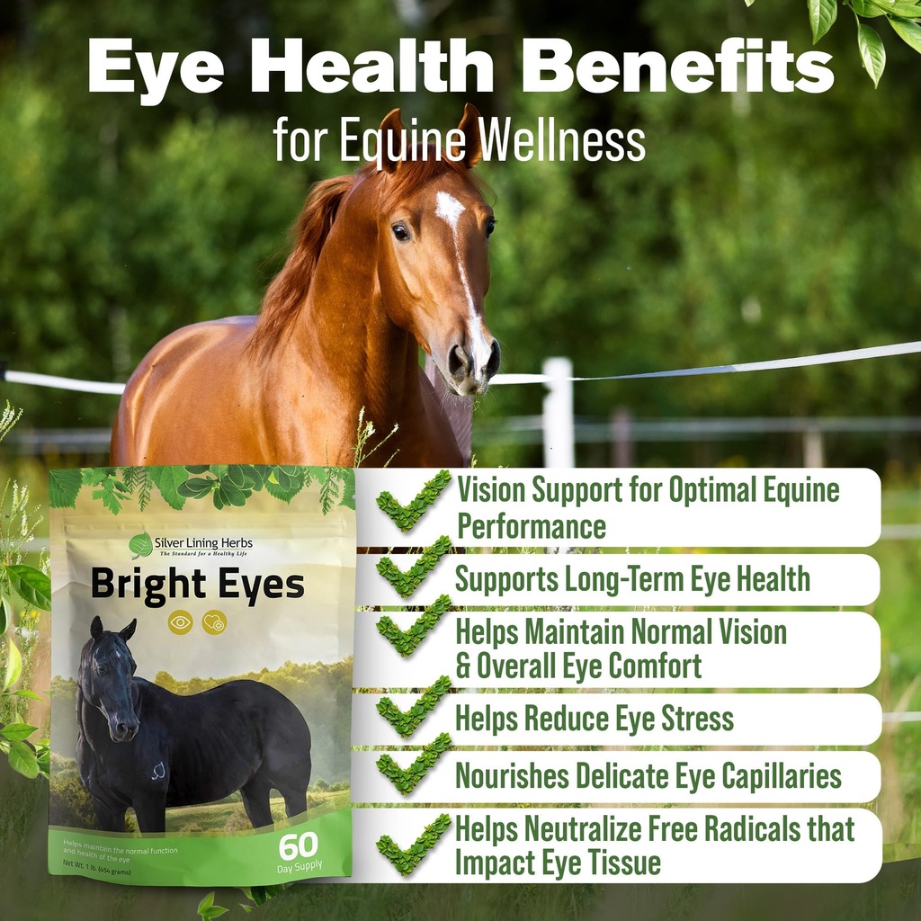 bright-eyes-horse-eye-health-supplements-2.jpg