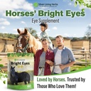 bright-eyes-horse-eye-health-supplements-6.jpg