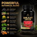 sea-moss-and-shilajit-bundle-2-bottle-co-4.jpg