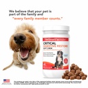 critical-digestive-restore-soft-chews-fo-5.jpg