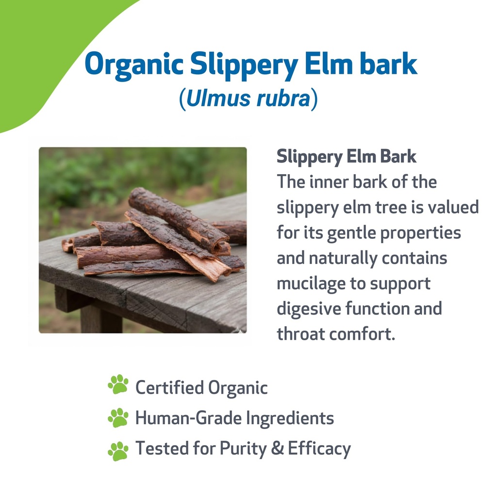 pet-wellbeing-slippery-elm-for-dogs-gut--3.jpg