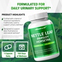 nettle-leaf-parsley-horsetail-dandelion--5.jpg