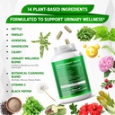 nettle-leaf-parsley-horsetail-dandelion--4.jpg