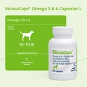 eicosacaps-omega-3-6-capsules-for-dogs-6-3.jpg
