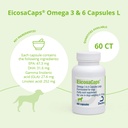 eicosacaps-omega-3-6-capsules-for-dogs-6-2.jpg