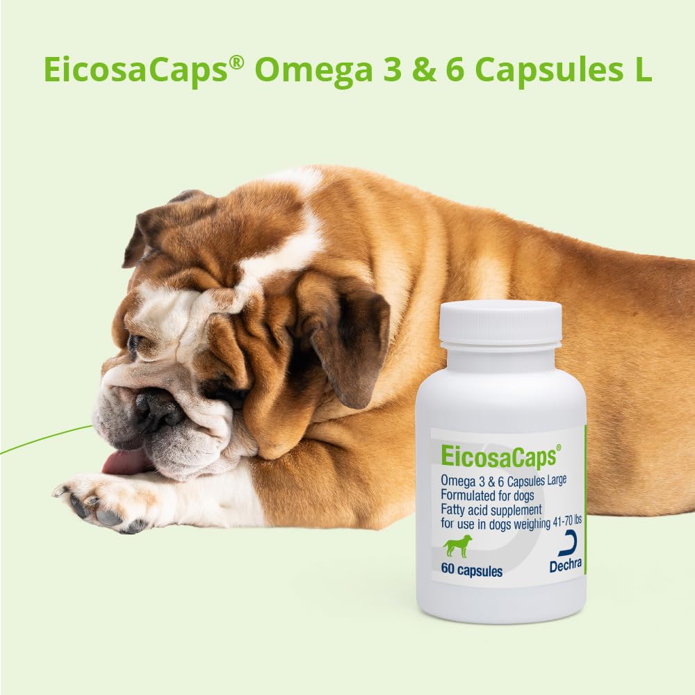 eicosacaps-omega-3-6-capsules-for-dogs-6-5.jpg