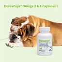 eicosacaps-omega-3-6-capsules-for-dogs-6-5.jpg