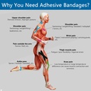 self-adherent-cohesive-bandages-wrap-6-c-6.jpg