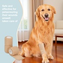6-pack-2-x-5-yards-self-adhesive-bandage-5.jpg