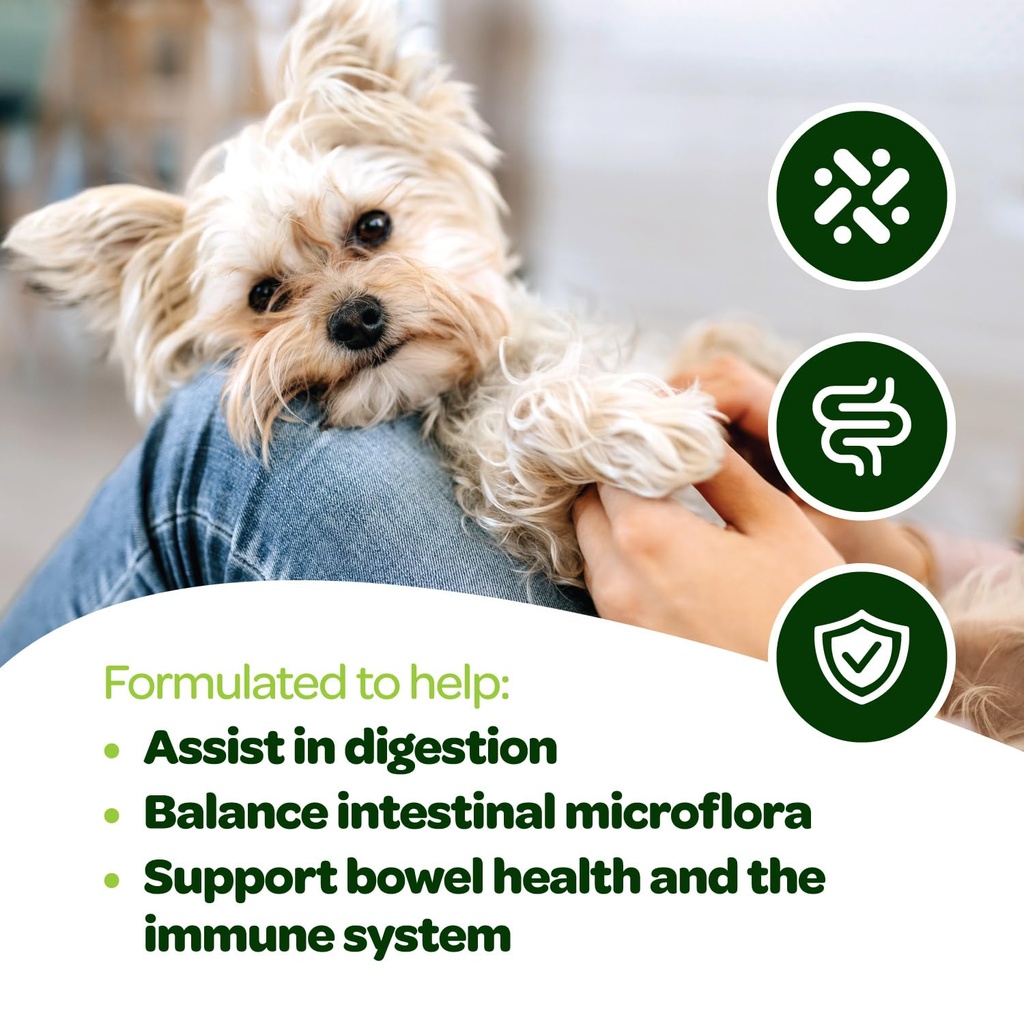 probiotic-chews-for-dogs-gut-health-tast-5.jpg