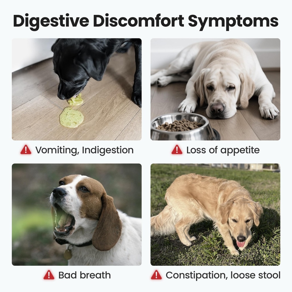 probiotics-supplement-chews-for-dogs-sup-3.jpg