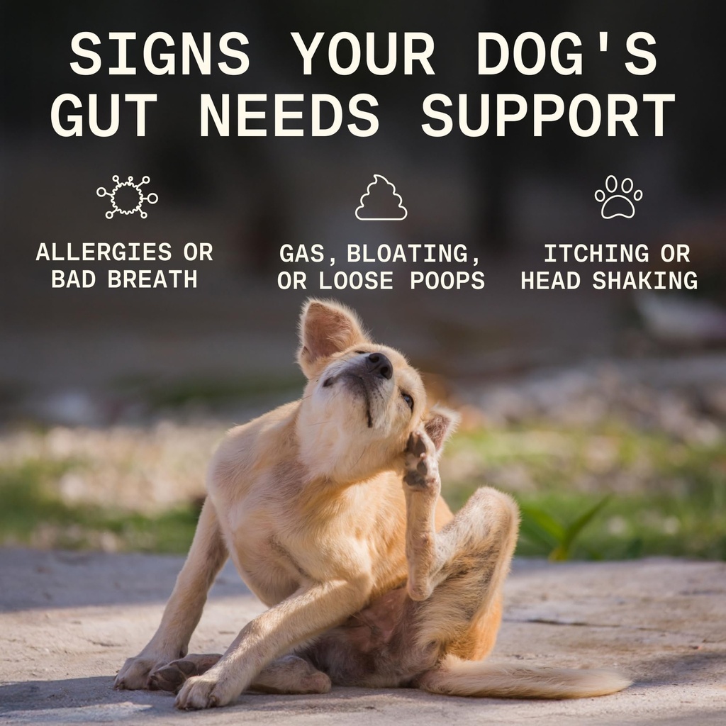5-in-1-dog-probiotic-powder-100-natural--2.jpg