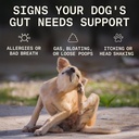 5-in-1-dog-probiotic-powder-100-natural--2.jpg