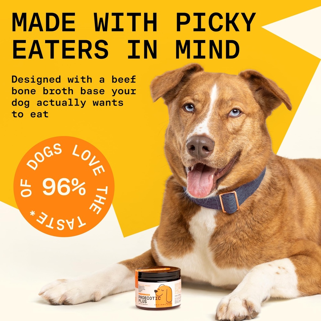 5-in-1-dog-probiotic-powder-100-natural--5.jpg
