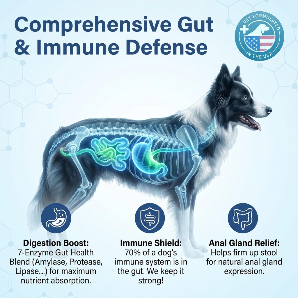 probiotics-for-dog-120-chews-enzymes-and-4.jpg