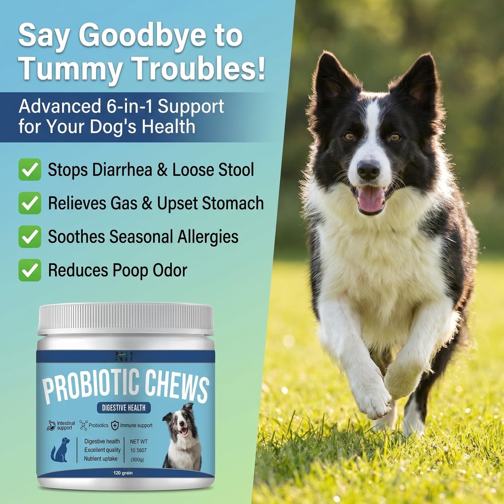 probiotics-for-dog-120-chews-enzymes-and-2.jpg