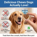 probiotics-for-dog-120-chews-enzymes-and-5.jpg