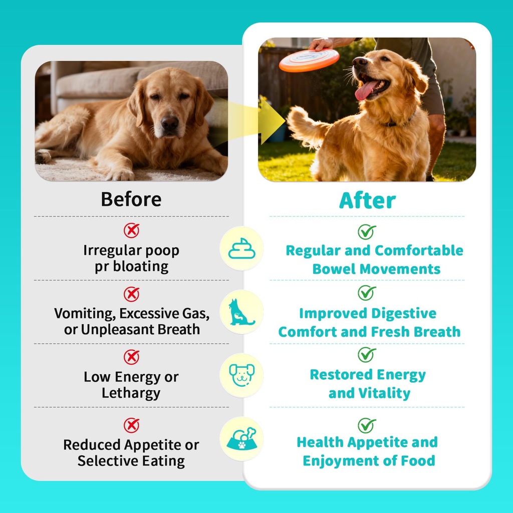 probiotics-for-dogs-10b-cfu-with-5-prebi-4.jpg