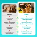 probiotics-for-dogs-10b-cfu-with-5-prebi-4.jpg