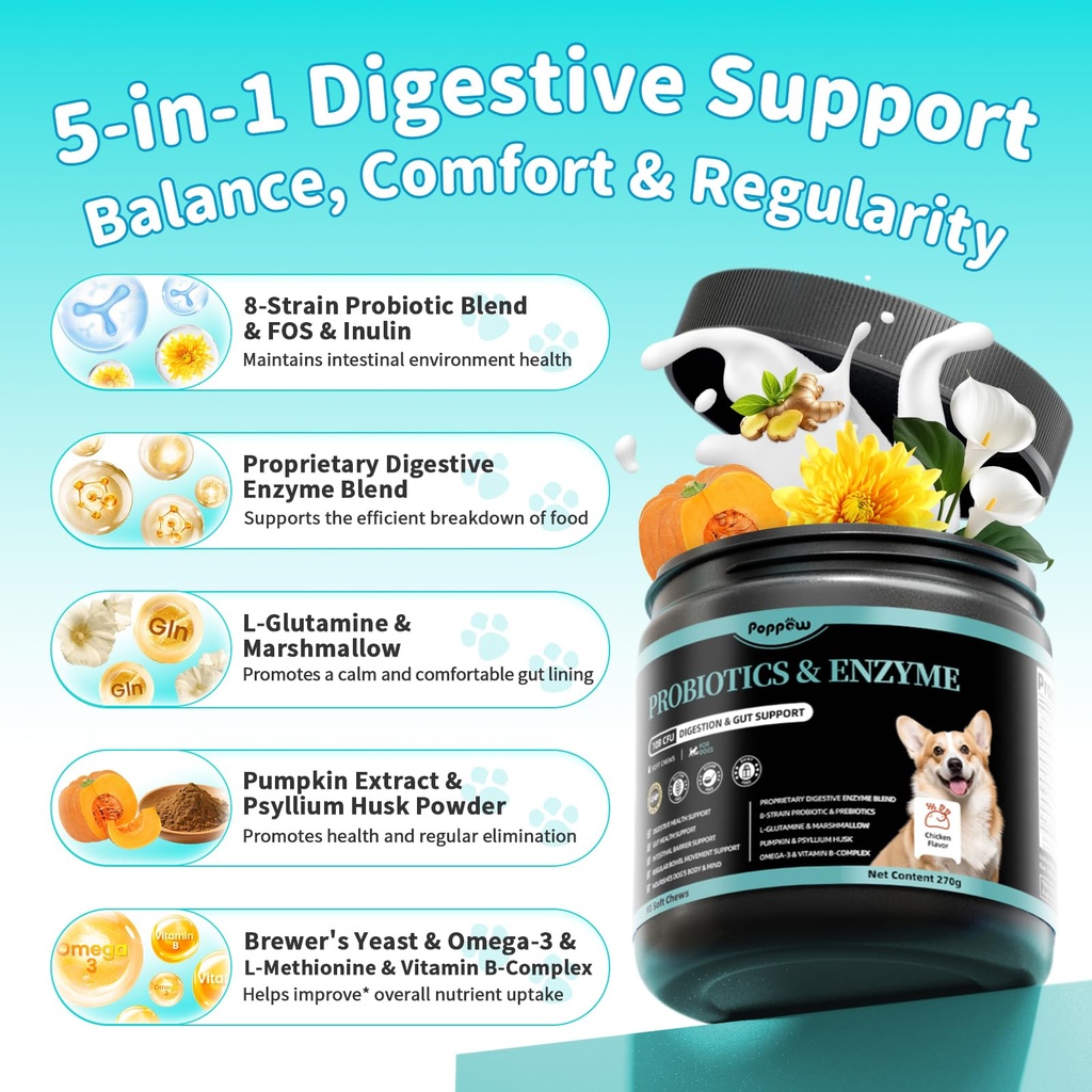 probiotics-for-dogs-10b-cfu-with-5-prebi-6.jpg