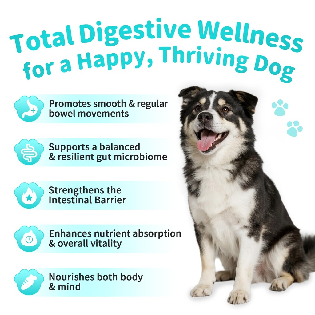 probiotics-for-dogs-10b-cfu-with-5-prebi-5.jpg
