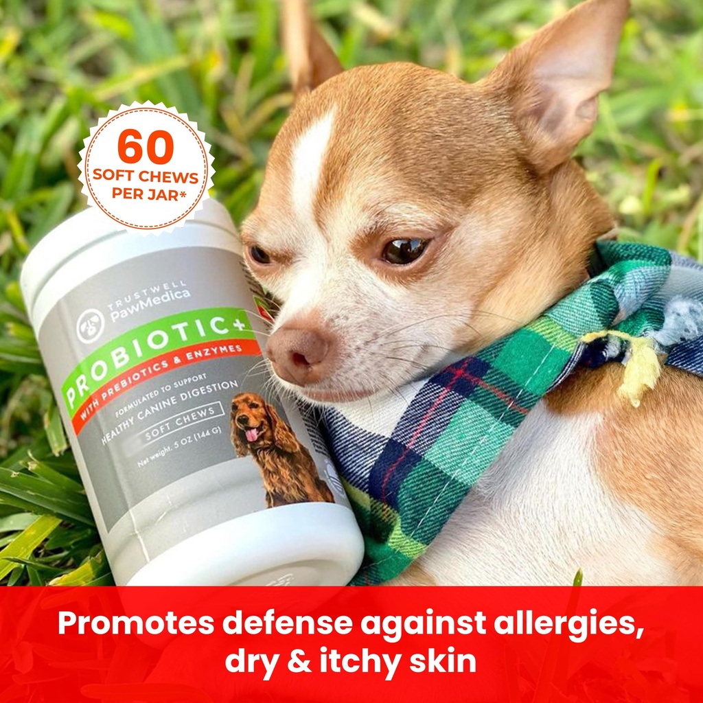 pawmedica-dog-probiotics-chews-with-dige-3.jpg
