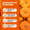 pumpkin-powder-for-dogs-cats-chicken-fla-3.jpg