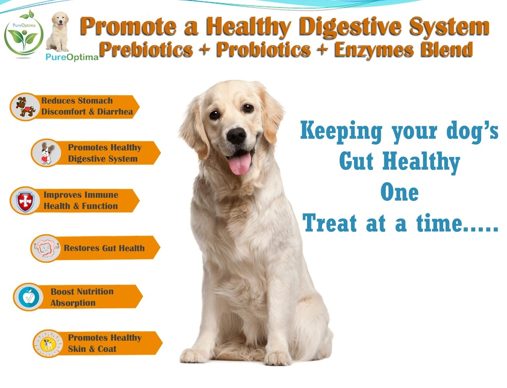 probiotics-chews-for-dogs-digestive-enzy-2.jpg