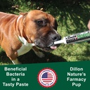dogzymes-canine-probiotic-paste-benefici-3.jpg
