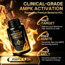 advanced-fat-burner-ampk-metabolism-acti-3.jpg