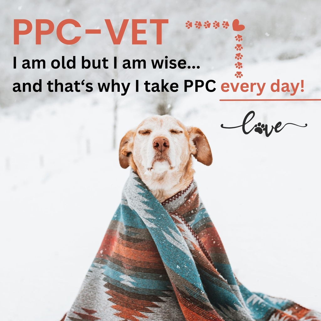 ppc-vet-polyunsaturated-phosphatidylchol-6.jpg