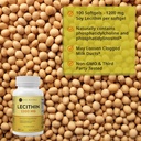 kate-naturals-soy-lecithin-1200mg-softge-2.jpg