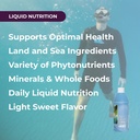 youngevity-body-balance-land-and-sea-pla-4.jpg