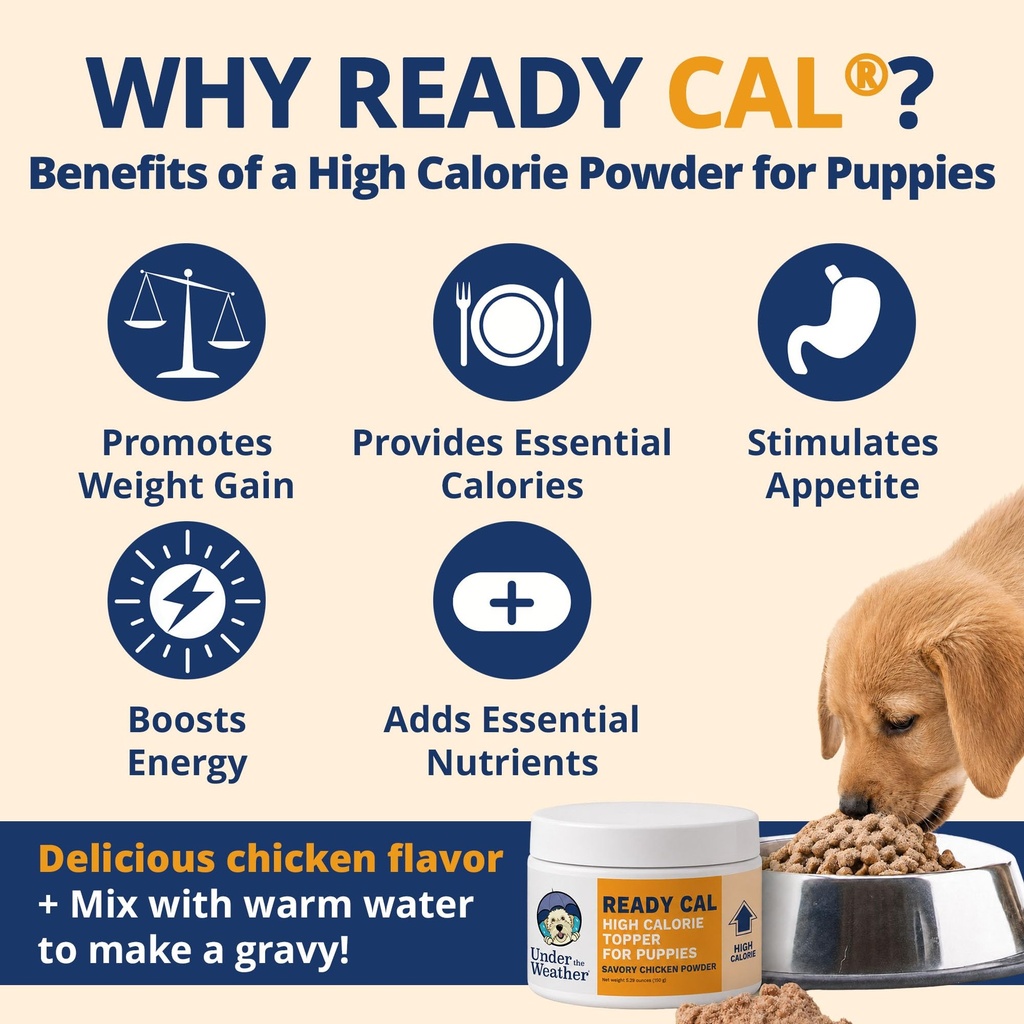 under-the-weather-ready-cal-high-calorie-2.jpg